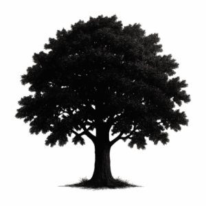 Prespa light mode logo 